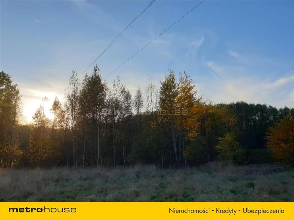 Działka 6 800,00 m², oferta nr , NEWA633, Nowe Byliny