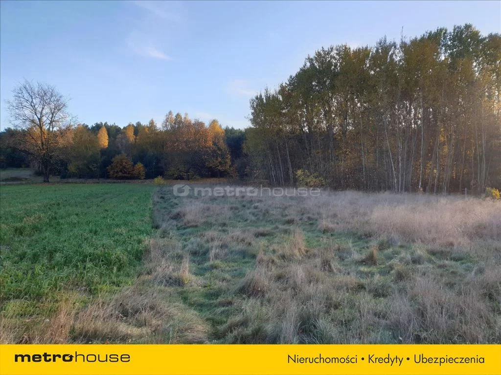Działka 6 800,00 m², oferta nr , NEWA633, Nowe Byliny