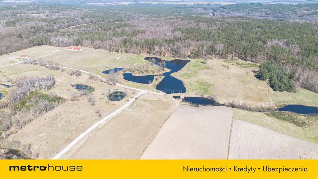 SGREMA295 - zdjęcie nr 2