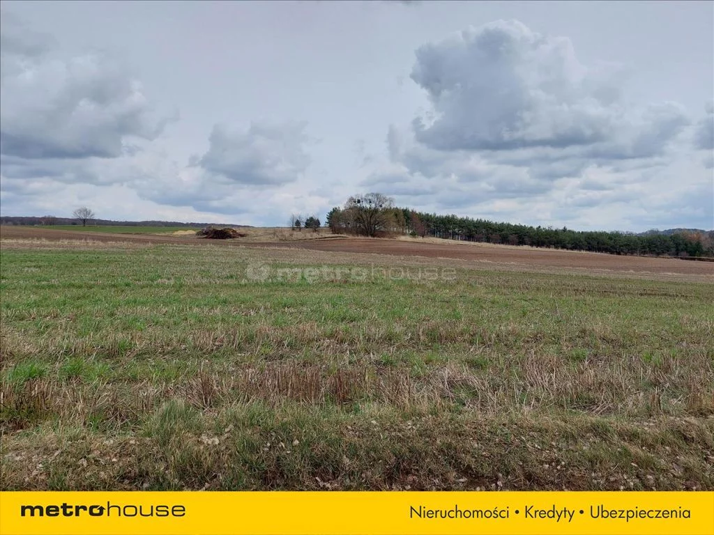 Działka 3 330,00 m², oferta nr , XUDA265, Nowe Skoszewy