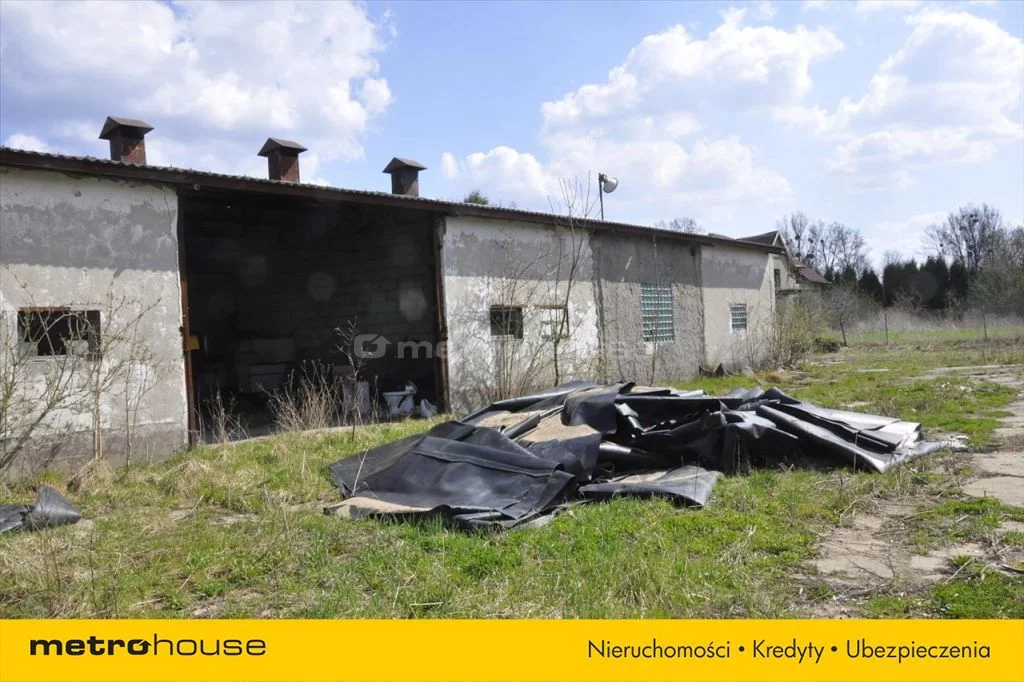 Działka 19 547,00 m², oferta nr , SURY724, Nowy Dwór