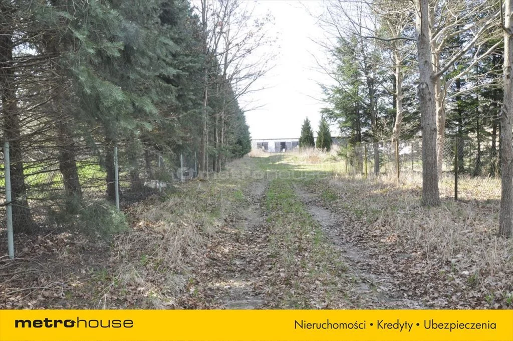 Działka 19 547,00 m², oferta nr , SURY724, Nowy Dwór