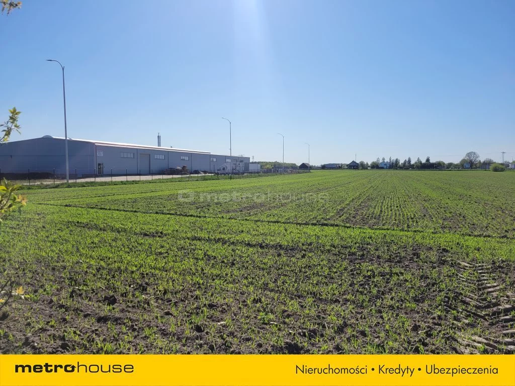 Działka 34 724,00 m², oferta nr , SGNEDA771, Nowy Sławacinek