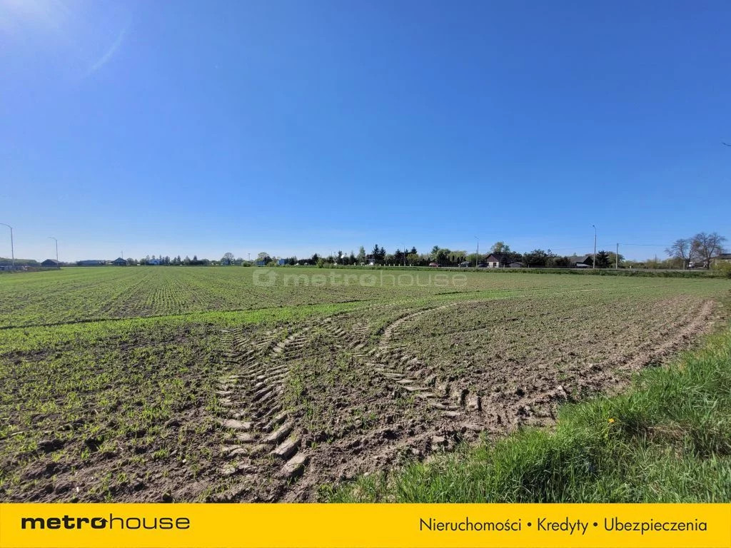 Działka 34 724,00 m², oferta nr , SGNEDA771, Nowy Sławacinek