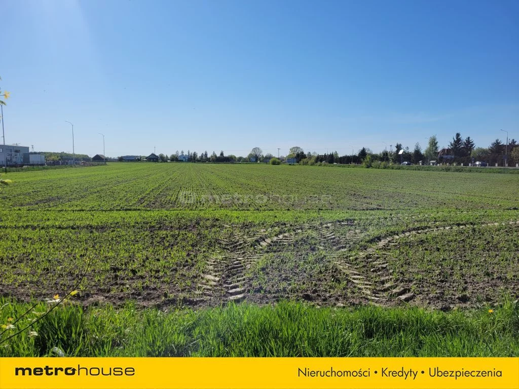 Działka 34 724,00 m², oferta nr , SGNEDA771, Nowy Sławacinek
