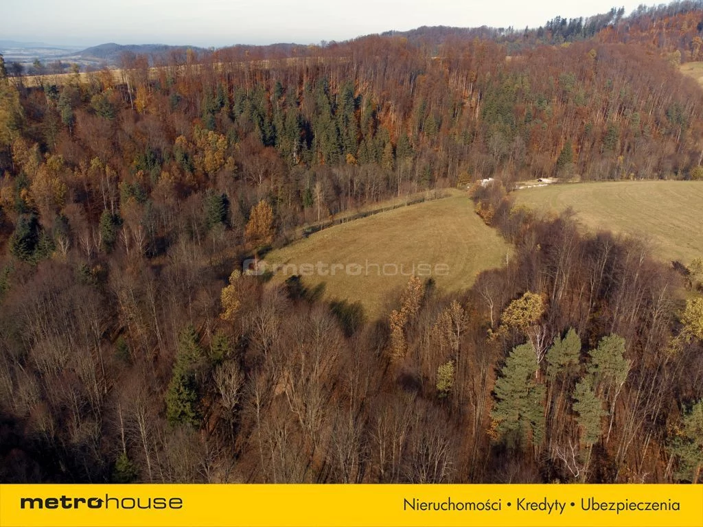 Działka 20 752,00 m², oferta nr , SGNETY874, Nowy Waliszów