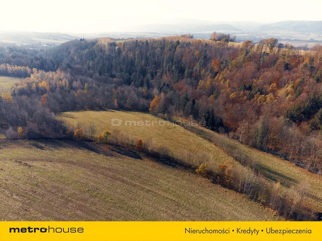 Działka 20 752,00 m², oferta nr , SGNETY874, Nowy Waliszów