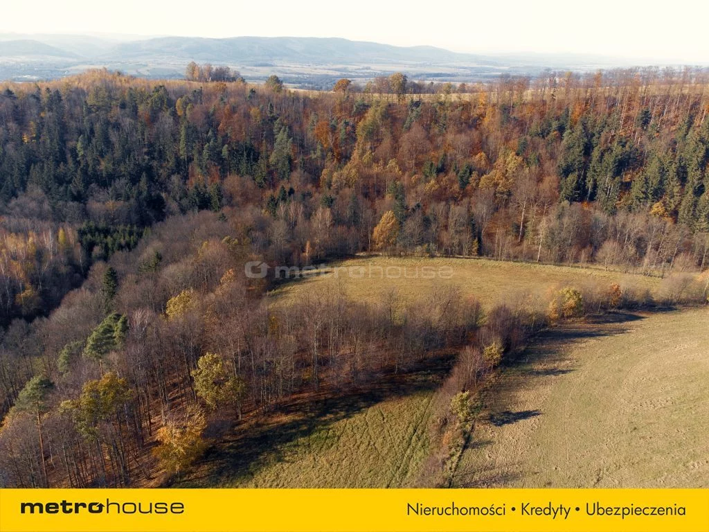 Działka 20 752,00 m², oferta nr , SGNETY874, Nowy Waliszów