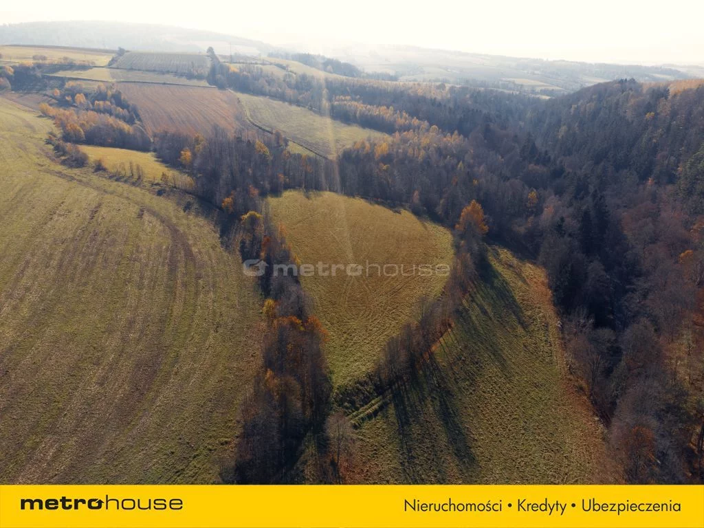 Działka 20 752,00 m², oferta nr , SGNETY874, Nowy Waliszów