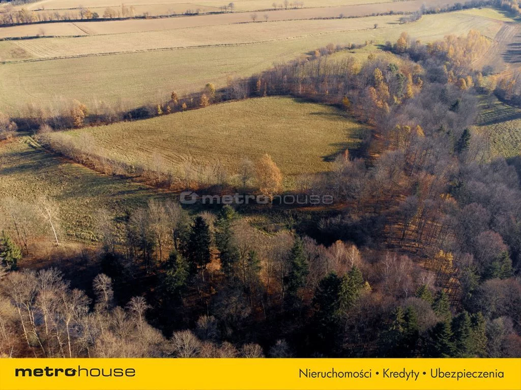 Działka 20 752,00 m², oferta nr , SGNETY874, Nowy Waliszów