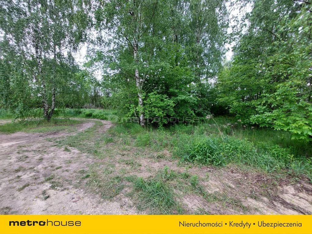 SGCALY163 - zdjęcie nr 0