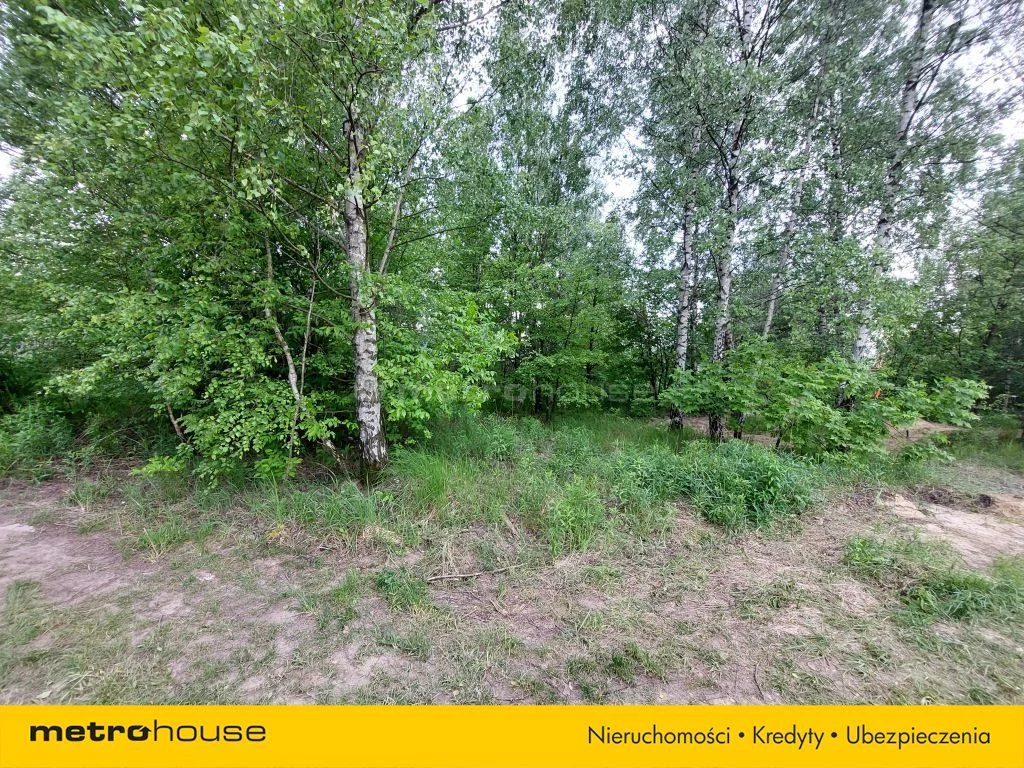 Działka 1 425,00 m², oferta nr , SGCALY163, Łódź, Obłoczna