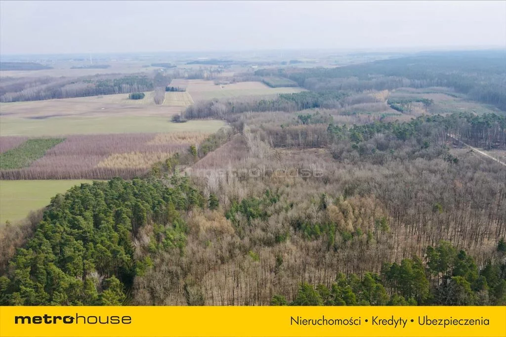 Działka 7 800,00 m², oferta nr , KOWO068, Ogrodzieniec