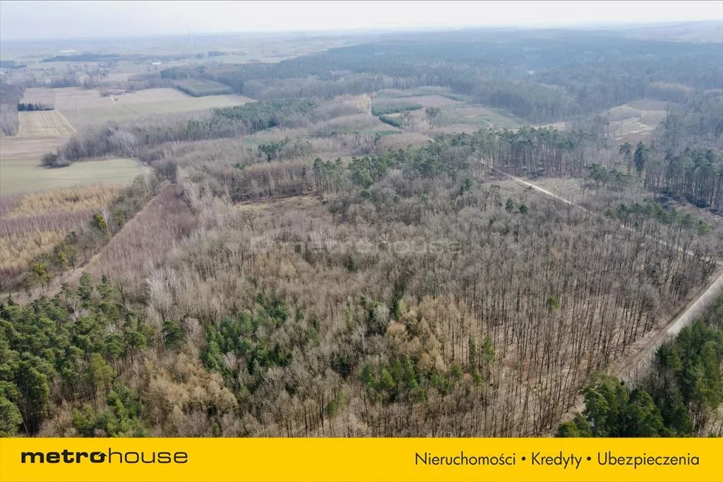 Działka 7 800,00 m², oferta nr , KOWO068, Ogrodzieniec