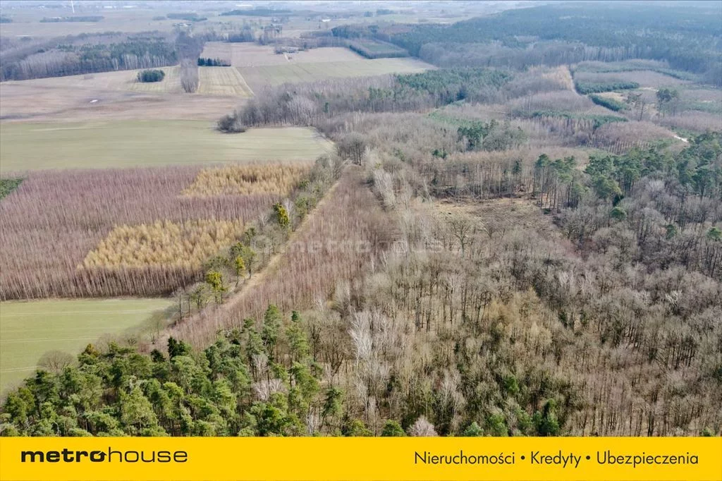 Działka 7 800,00 m², oferta nr , KOWO068, Ogrodzieniec