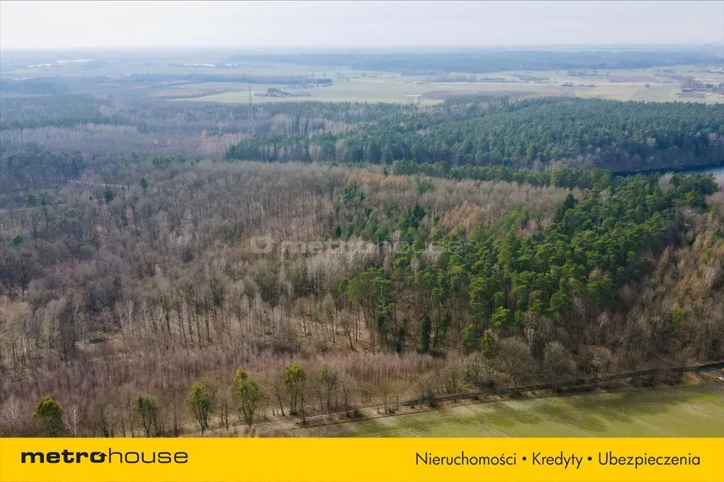 Działka 7 800,00 m², oferta nr , KOWO068, Ogrodzieniec