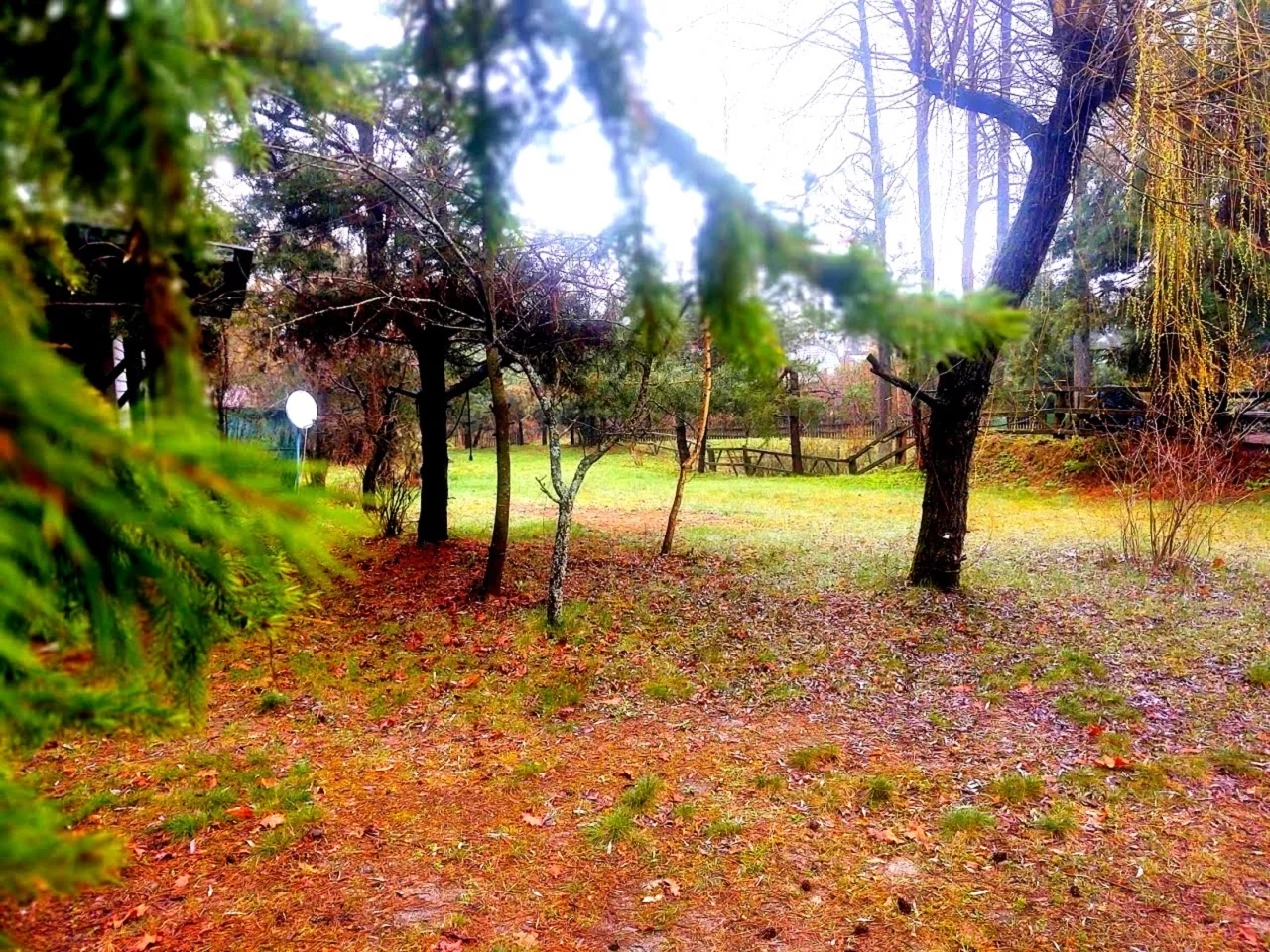 Działka 2 295,00 m², oferta nr , BETI863, Okuninka