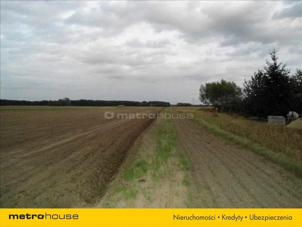 Działka 11 200,00 m², oferta nr , BAHI641, Olsza