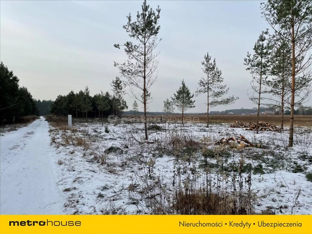 Działka 1 003,00 m², oferta nr , LEHY235, Olszewnica Stara