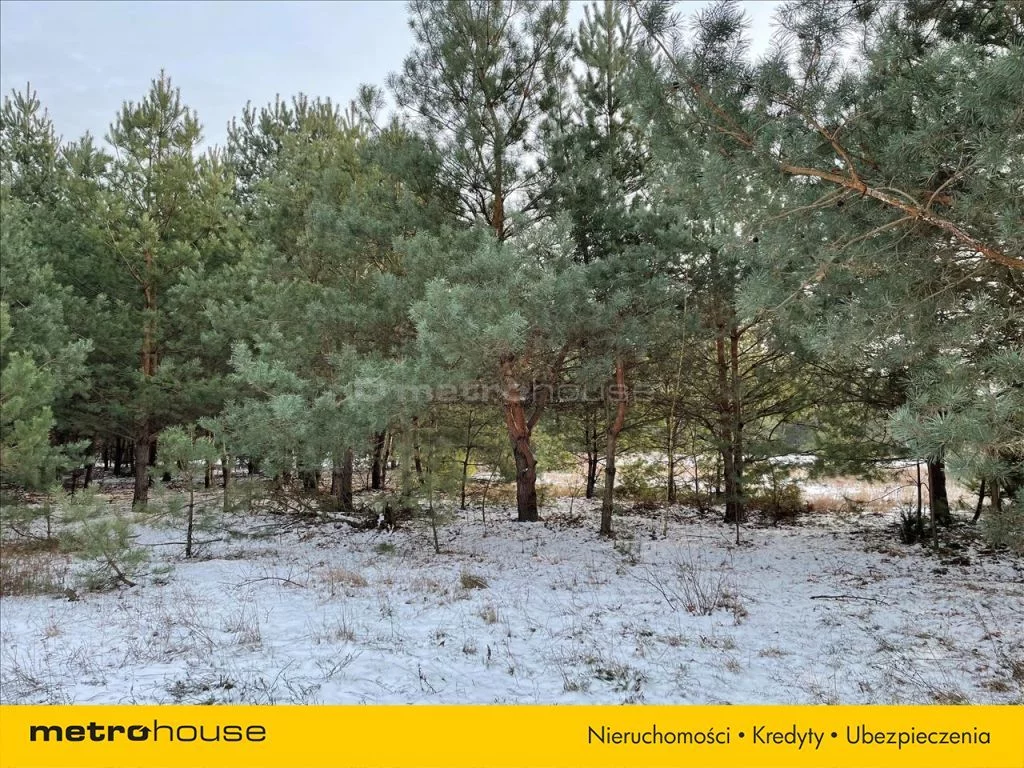 Działka 1 003,00 m², oferta nr , LEHY235, Olszewnica Stara