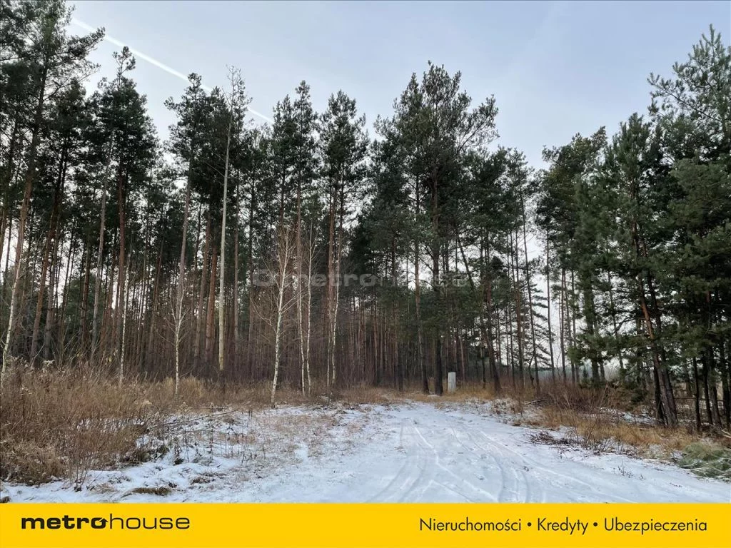 Działka 1 003,00 m², oferta nr , LEHY235, Olszewnica Stara