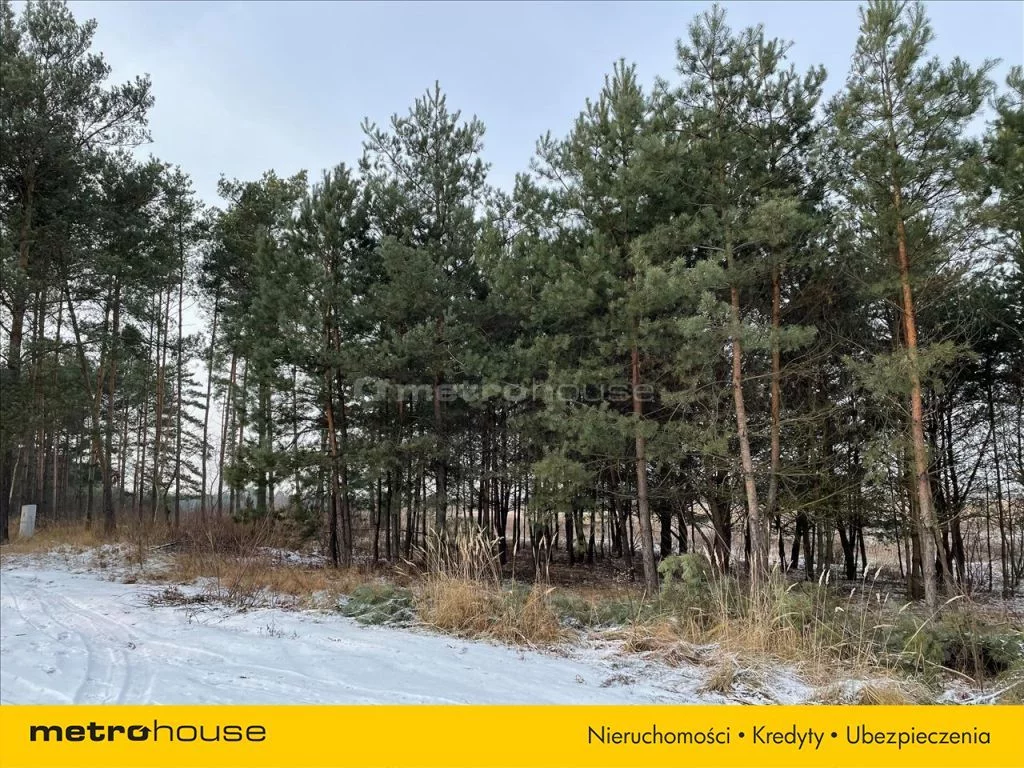 Działka 1 003,00 m², oferta nr , LEHY235, Olszewnica Stara
