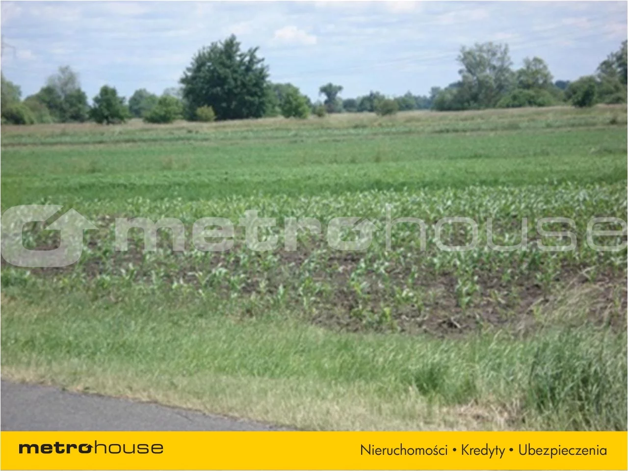 Działka 35 600,00 m², oferta nr , FUCE216, Osiny