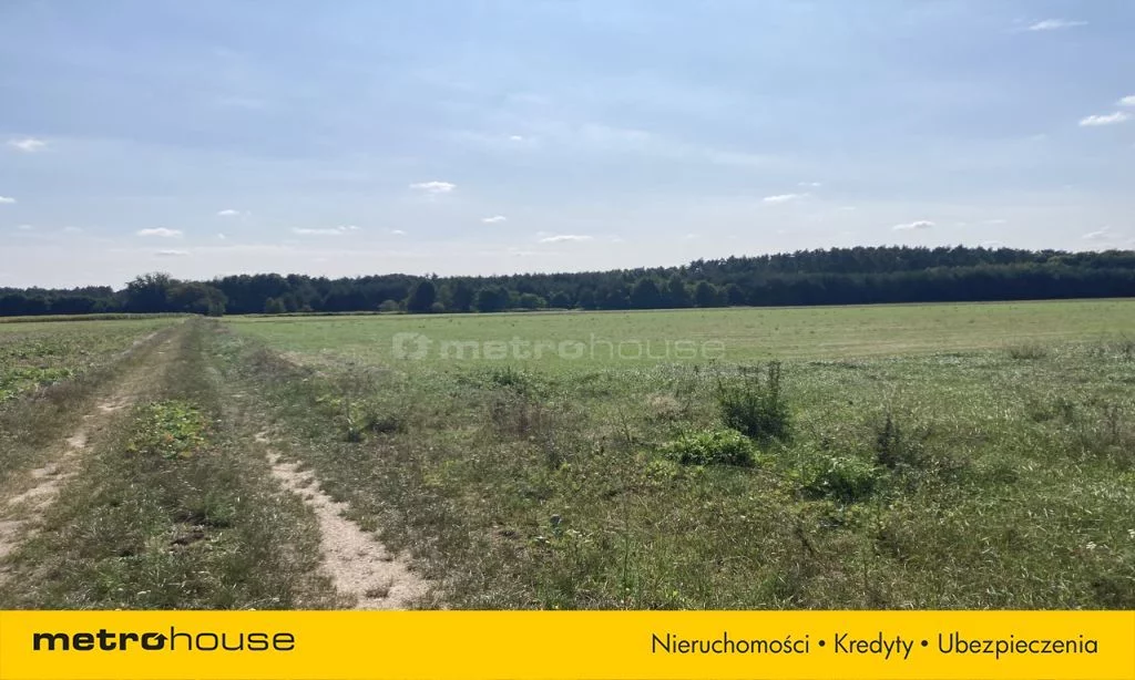 Działka 30 248,00 m², oferta nr , SGTULY283, Ostrowina