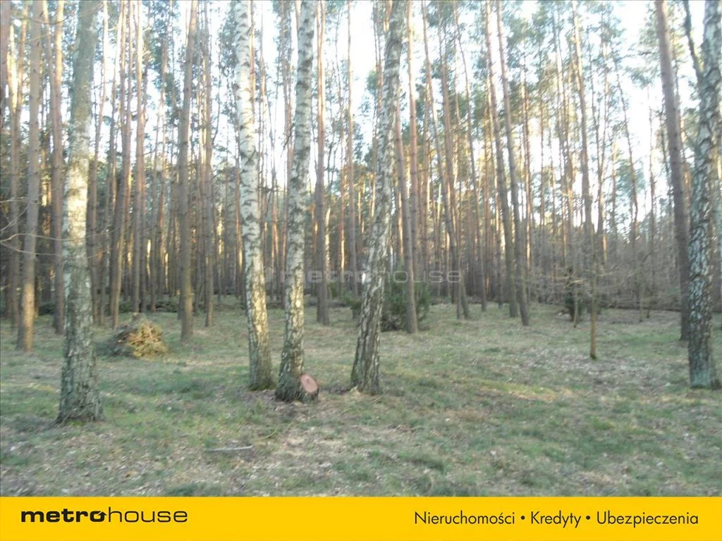 Działka 4 500,00 m², oferta nr , JOGE659, Otwock