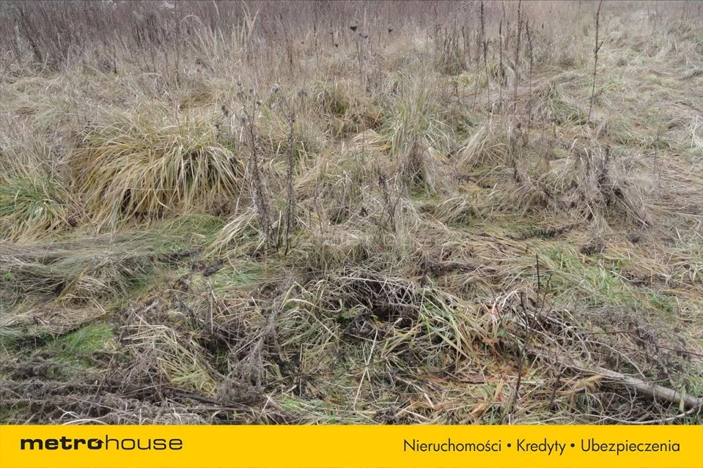 Działka 4 000,00 m², oferta nr , SUGI639, Pabianice