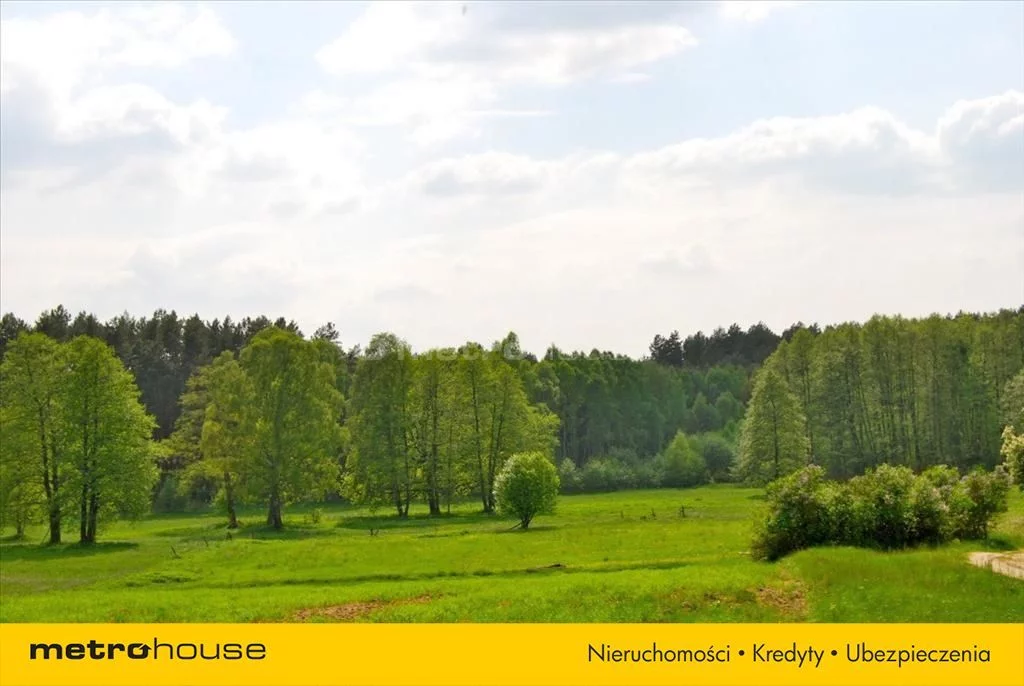 Działka 8 000,00 m², oferta nr , QIRI776, Pąchy