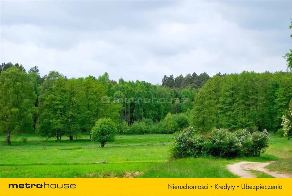 Działka 8 000,00 m², oferta nr , QIRI776, Pąchy