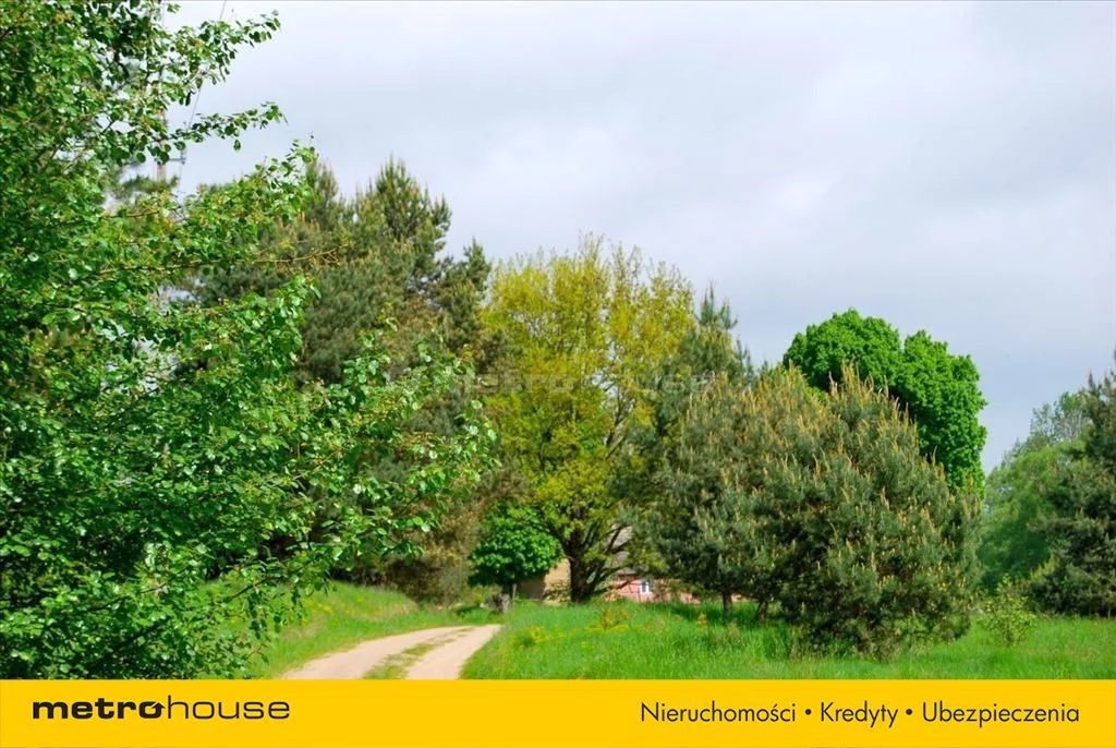 Działka 100 000,00 m², oferta nr , DULY853, Pąchy