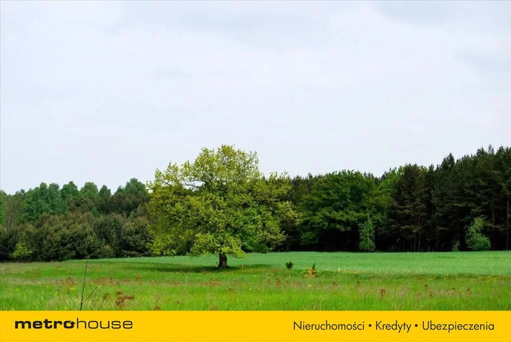 Działka 10 300,00 m², oferta nr , JESI602, Pąchy