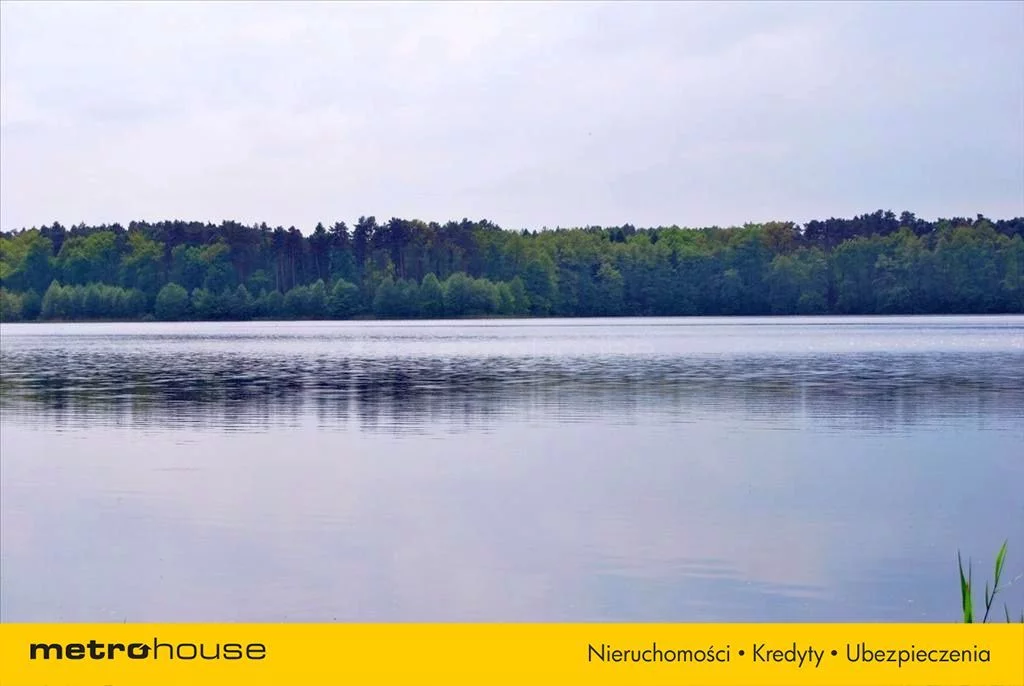 Działka 10 300,00 m², oferta nr , JESI602, Pąchy