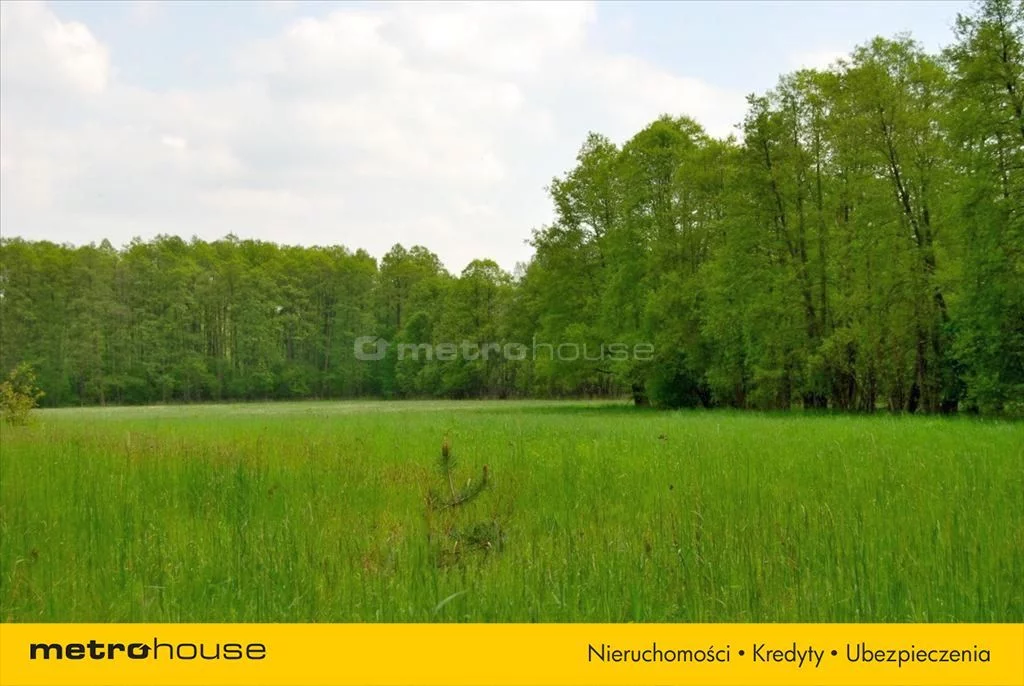 Działka 10 300,00 m², oferta nr , JESI602, Pąchy