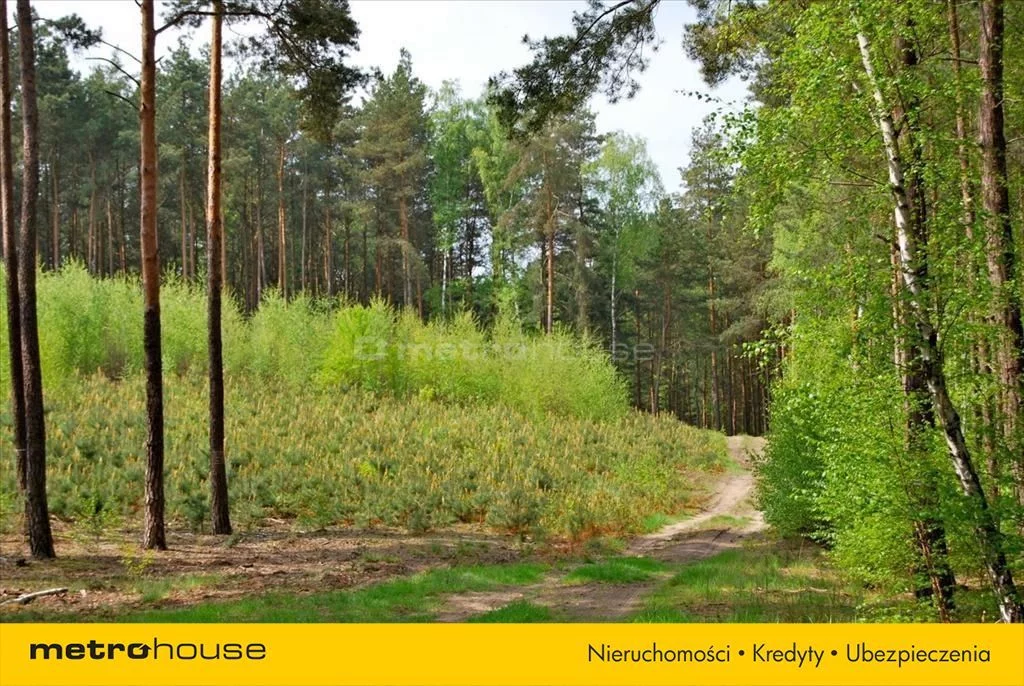 Działka 7 100,00 m², oferta nr , ZERE104, Pąchy