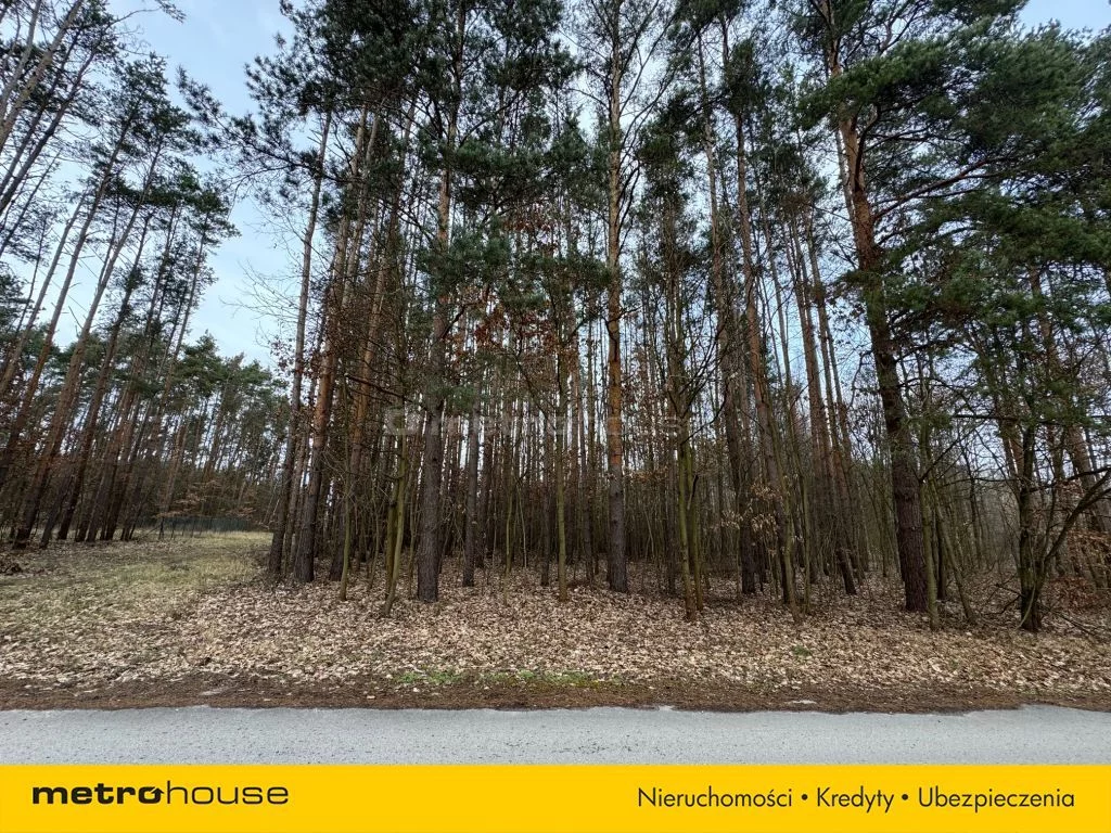 Działka 20 550,00 m², oferta nr , SGZUTA604, Pągowiec