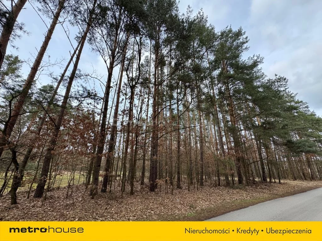 Działka 20 550,00 m², oferta nr , SGZUTA604, Pągowiec
