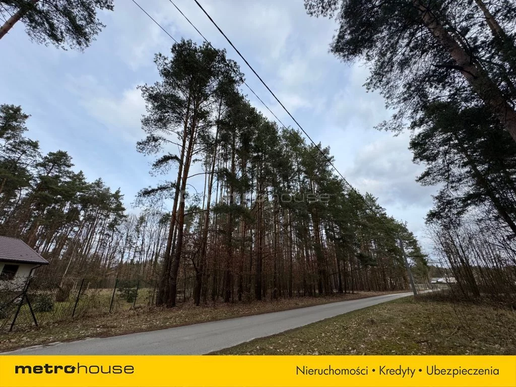 Działka 20 550,00 m², oferta nr , SGZUTA604, Pągowiec