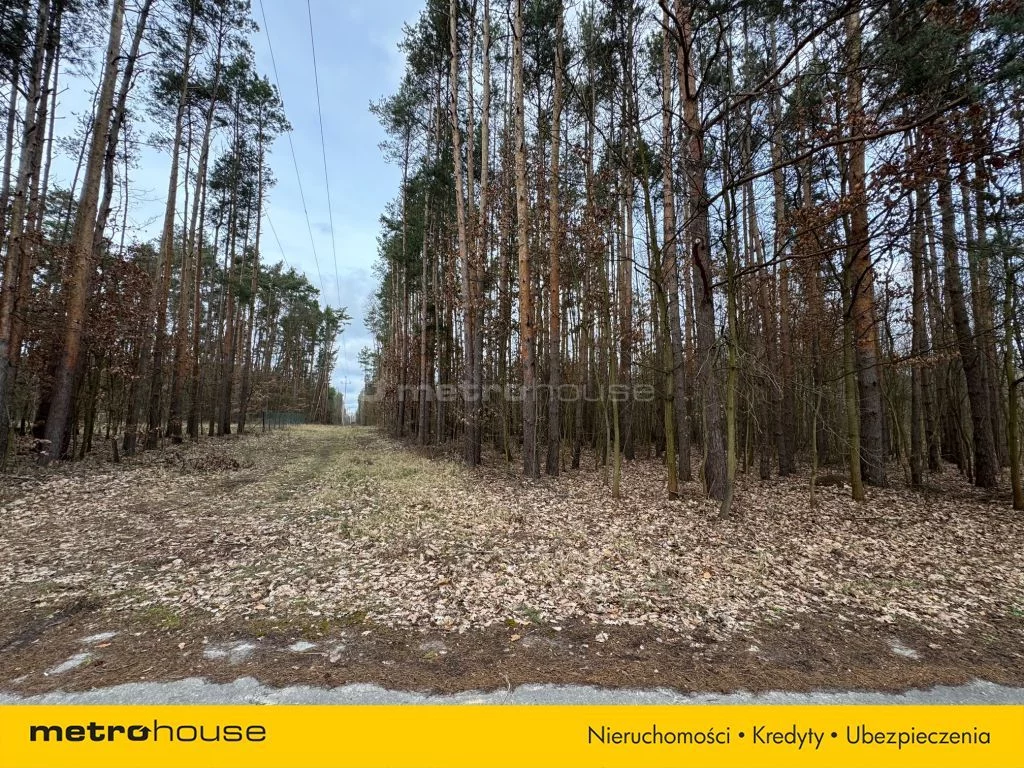 Działka 20 550,00 m², oferta nr , SGZUTA604, Pągowiec