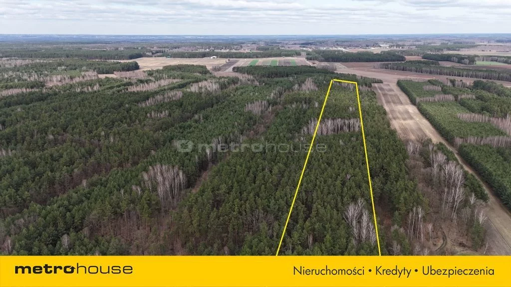 Działka 20 550,00 m², oferta nr , SGZUTA604, Pągowiec