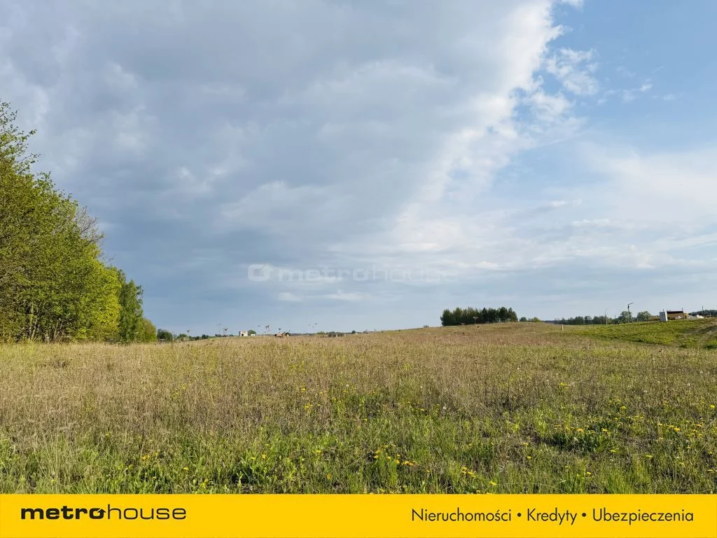 Działka 3 004,00 m², oferta nr , SGPEJE374, Rydzewo, Paprotecka