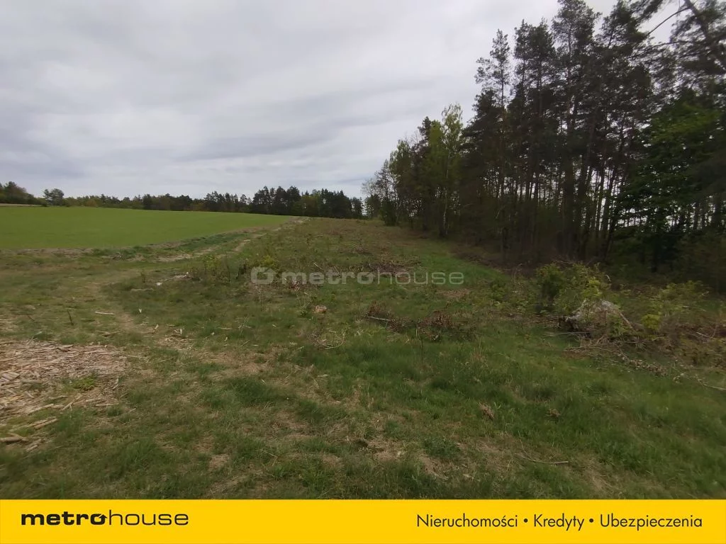 Działka 14 790,00 m², oferta nr , SGGIVA713, Dębnica Kaszubska, Parkowa