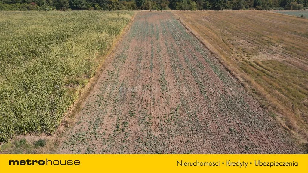 Działka 3 782,00 m², oferta nr , SGGOVA748, Pławniowice, Parkowa