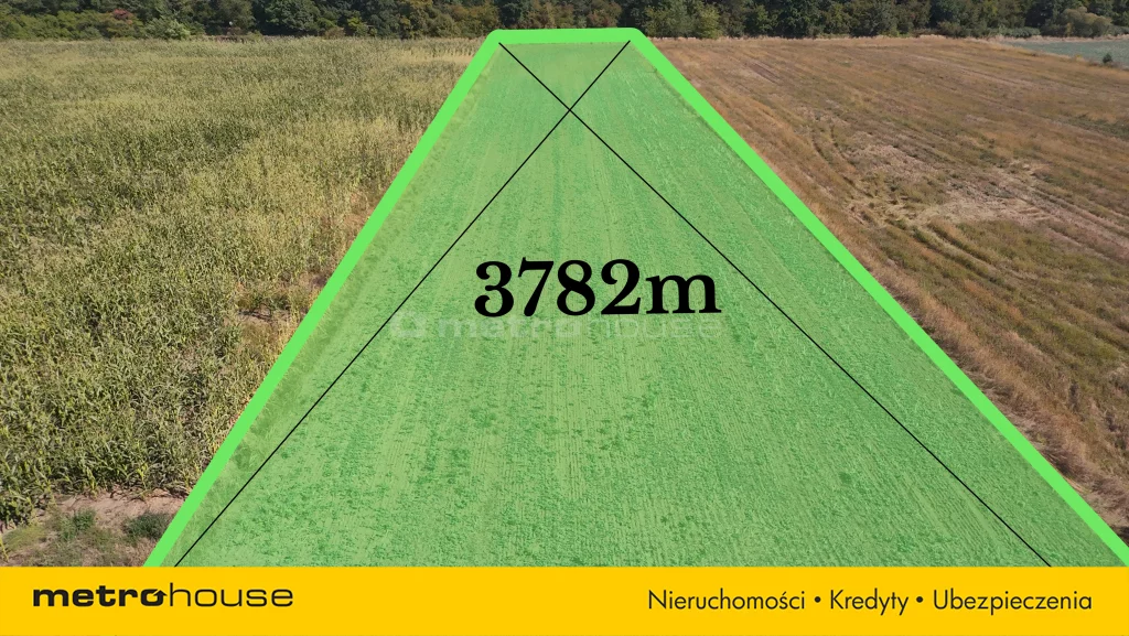 Działka 3 782,00 m², oferta nr , SGGOVA748, Pławniowice, Parkowa