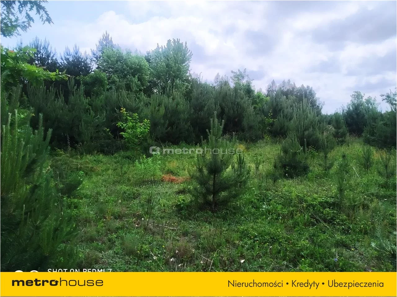 Działka 4 334,00 m², oferta nr , HAXY657, Pasikonie