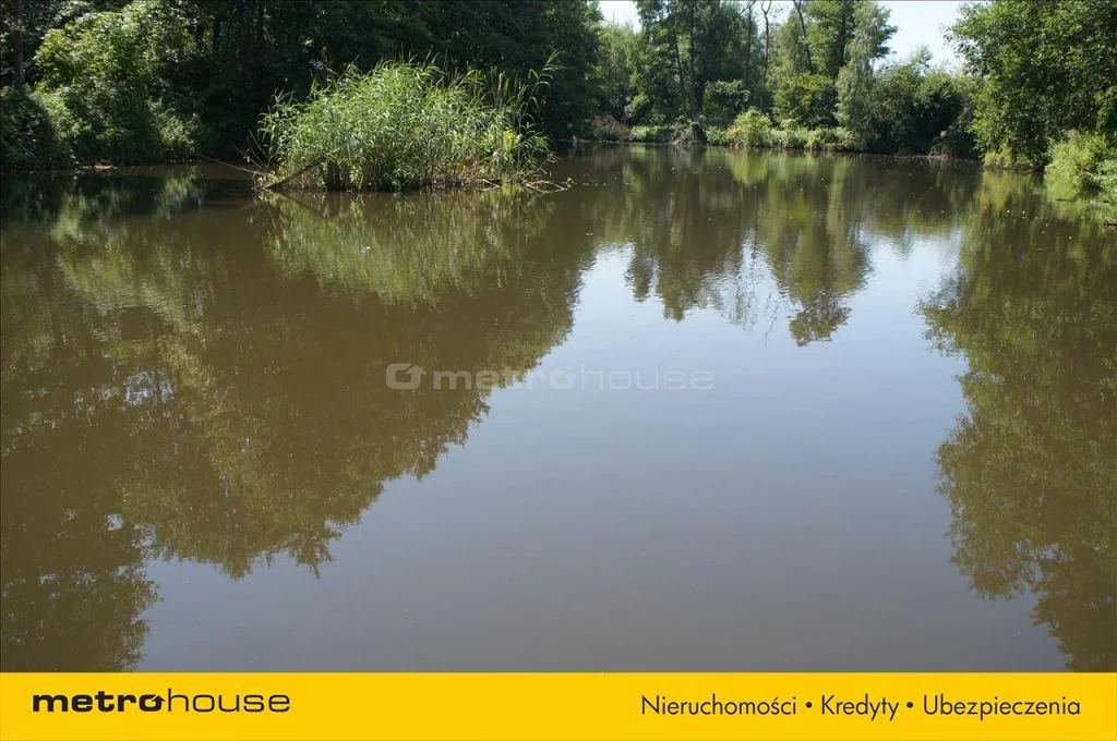 LOGI546 - zdjęcie nr 4