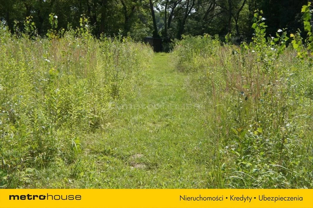 Działka 32 888,00 m², oferta nr , JAZU086, Pęcice Małe