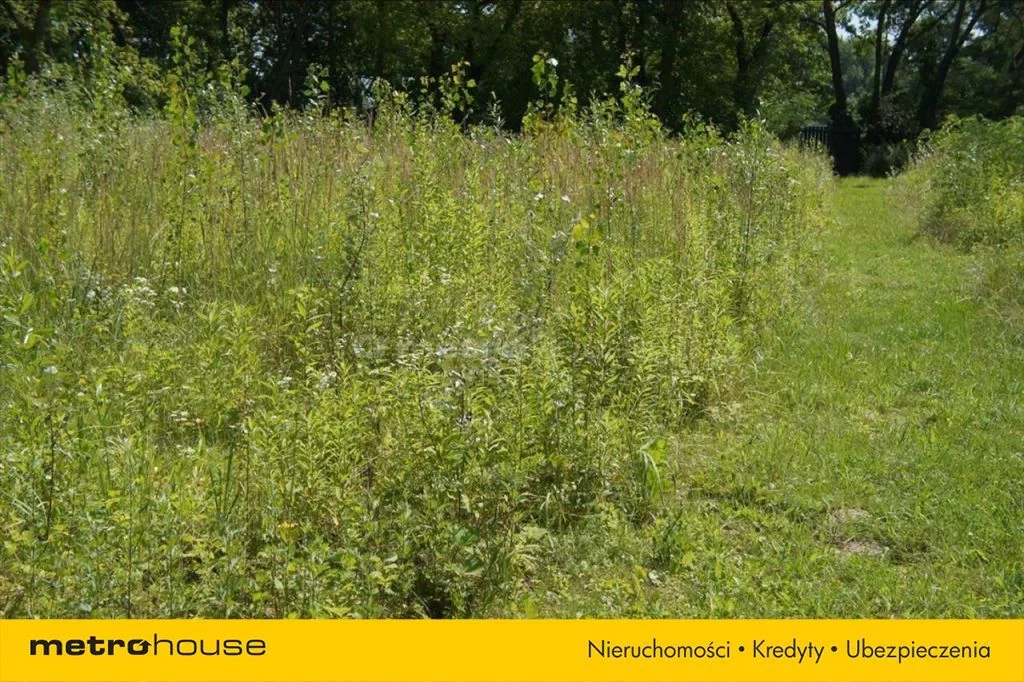 Działka 32 888,00 m², oferta nr , JAZU086, Pęcice Małe